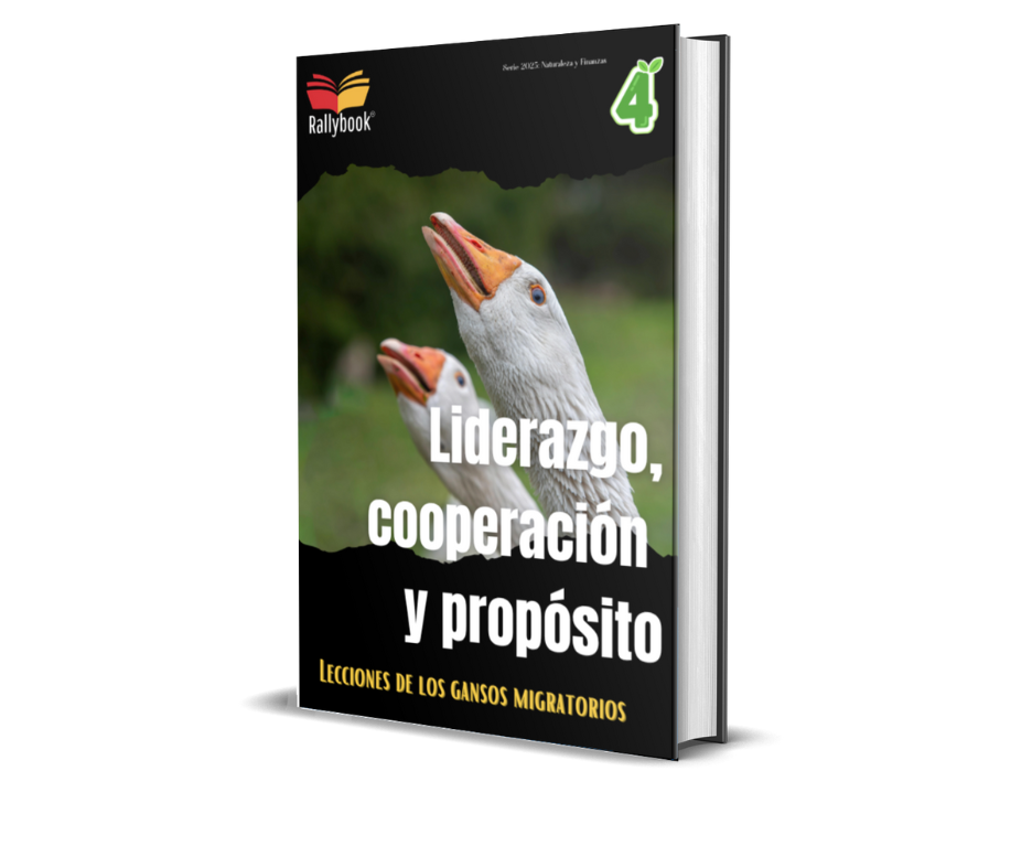 rallybook diseño sin título (48)