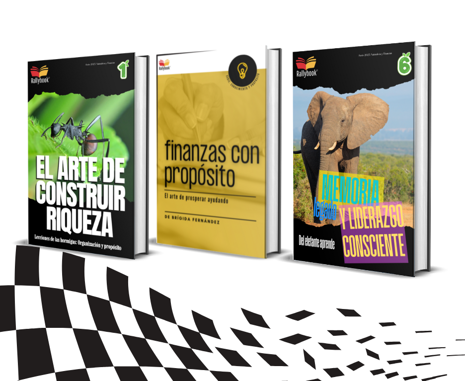 diseño sin título (61)